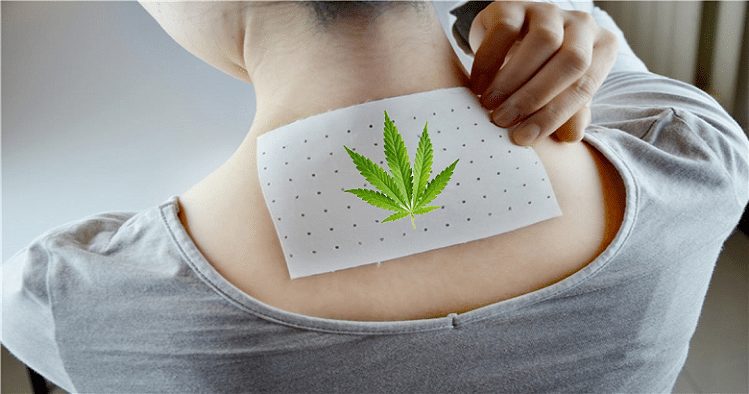 Cannabis Sativa 20ααα
