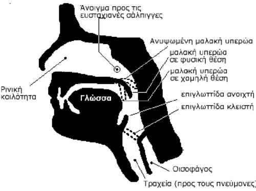 Ταξίδι Με Αεροπλάνο 10