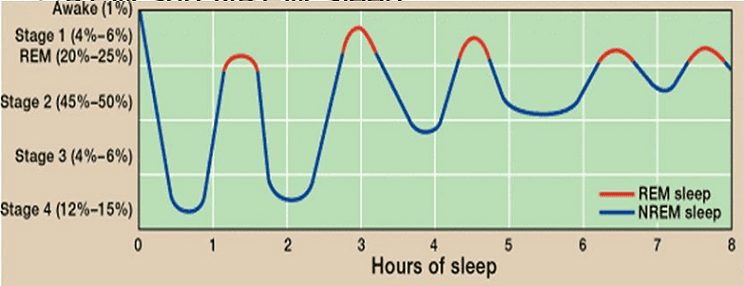 Ύπνος και Διαταραχές Ύπνου 1