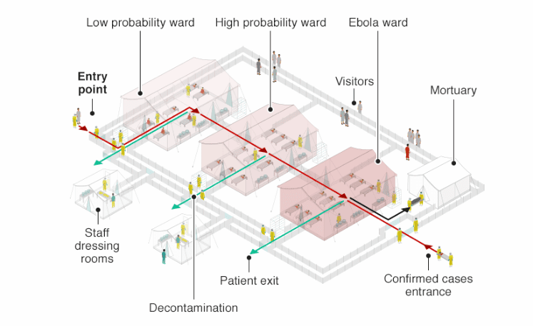 Ebola 10αβ